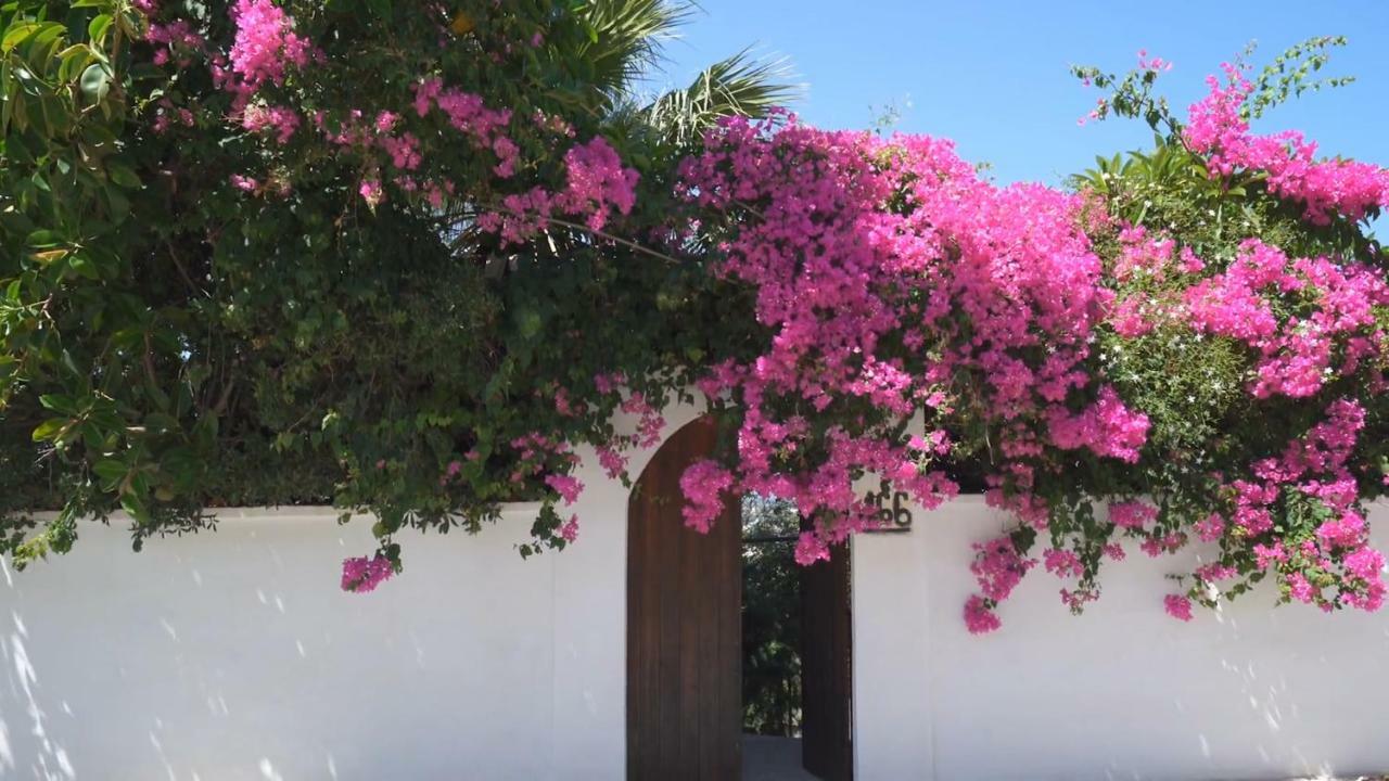 Alexiszorba Villa Plaka  Esterno foto