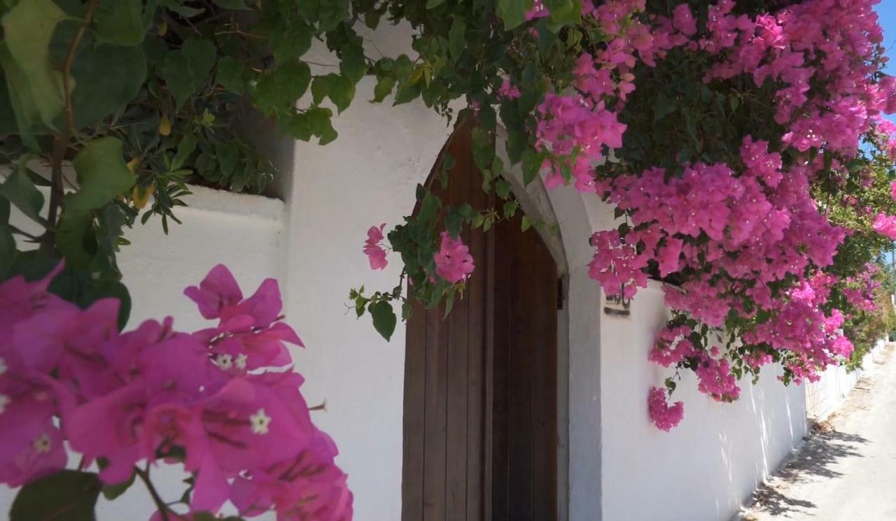 Alexiszorba Villa Plaka  Esterno foto